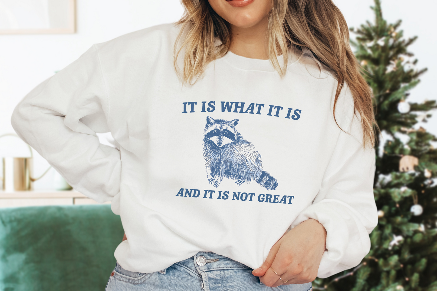 It Is What It Is And It Is Not Great Sweatshirt, Mental Health Sweatshirt, Funny Sweatshirt Women, Meme Sweatshirt, Raccoon Shirt, Gag Tee